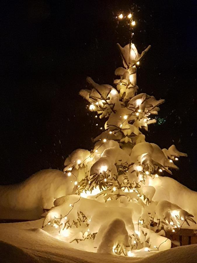 Haus Bergblick Lägenhet Altaussee Exteriör bild
